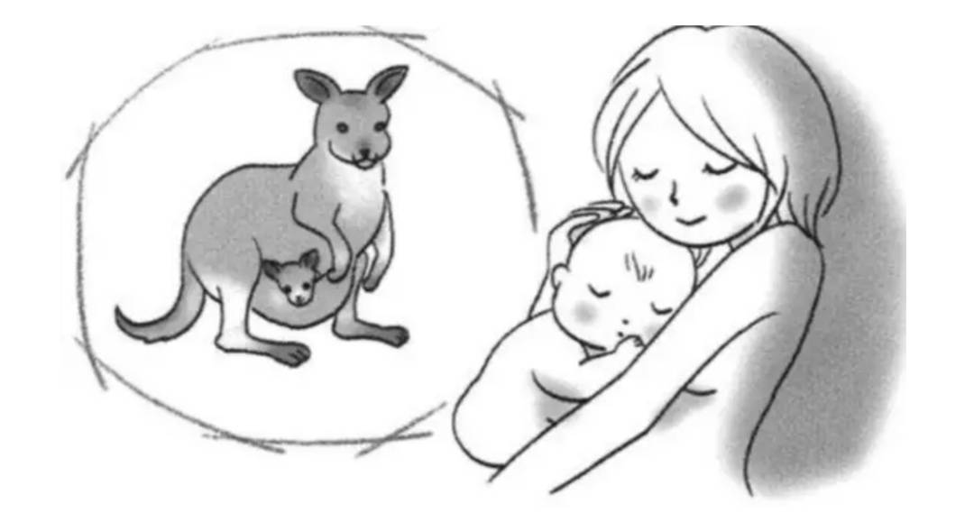 长妇幼开展“袋鼠式护理”，让早产宝宝更健康！